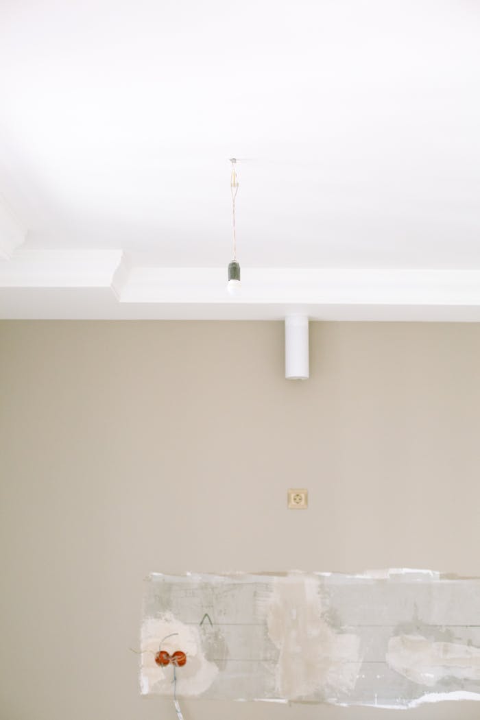 pexels photo 3616769.jpeg